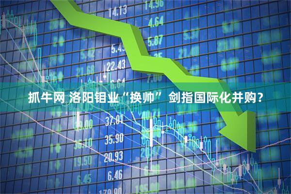 抓牛网 洛阳钼业“换帅” 剑指国际化并购？