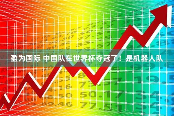 盈为国际 中国队在世界杯夺冠了！是机器人队