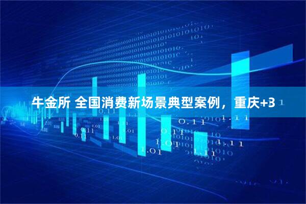 牛金所 全国消费新场景典型案例，重庆+3