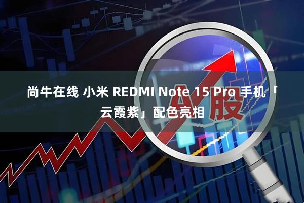 尚牛在线 小米 REDMI Note 15 Pro 手机「云霞紫」配色亮相