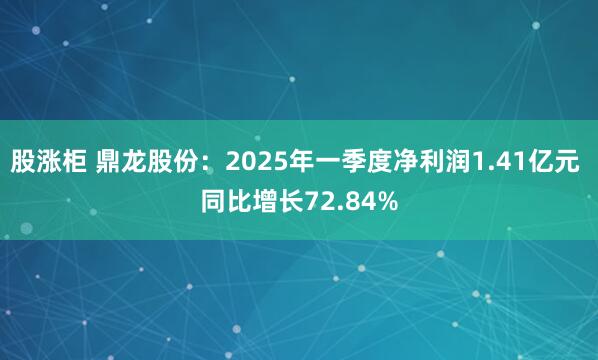 股涨柜 鼎龙股份：2025年一季度净利润1.41亿元 同比增长72.84%